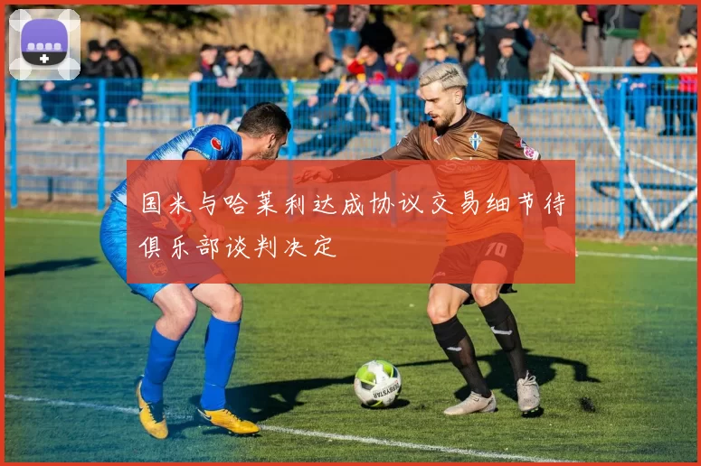 国米与哈莱利达成协议交易细节待俱乐部谈判决定