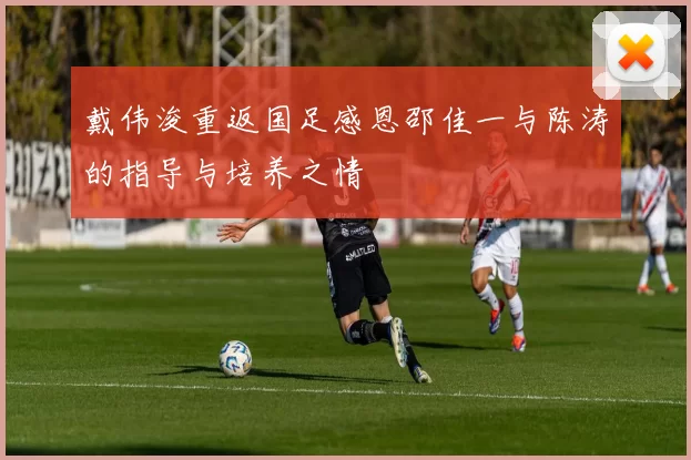 戴伟浚重返国足感恩邵佳一与陈涛的指导与培养之情