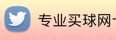 专业买球网十大体育网站 Logo